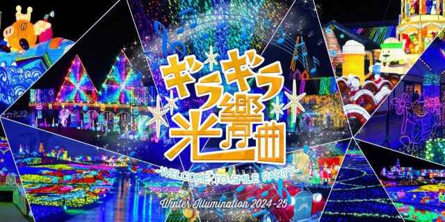 東京ドイツ村ウインターイルミネーション2024-2025の画像